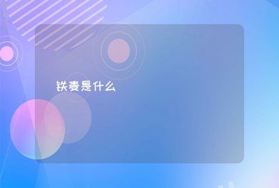鐵麥是什么
