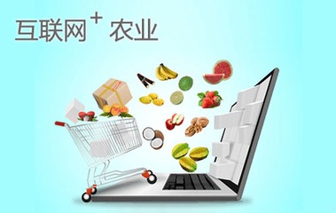 農村市場一片藍海,眾電商掘金正熱