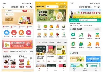 “五個(gè)以”實(shí)踐體系的隨縣答卷 | 強(qiáng)“鏈條”通“經(jīng)絡(luò)”--奮力打造城鄉(xiāng)供應(yīng)鏈一體化平臺(tái)的“隨縣實(shí)踐”